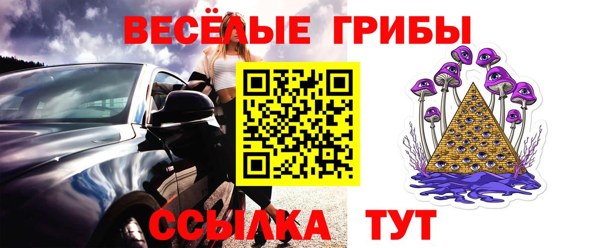 Псилоцибиновые грибы прущие грибы Апатиты