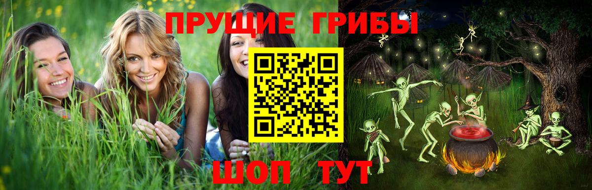 Апатиты  Галлюциногенные грибы Cubensis  Вход с VPN 